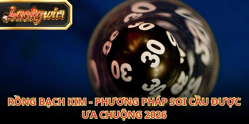 rong-bach-kim-ava